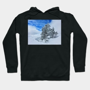 Snowy Tree Hoodie